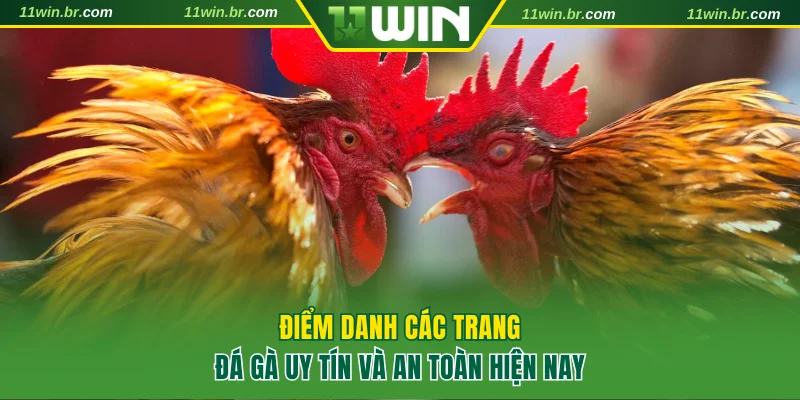 Trang đá gà uy tín